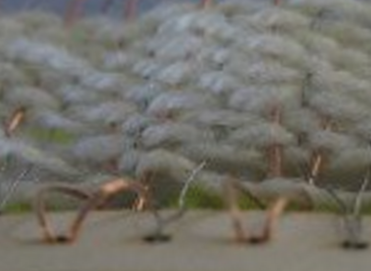 Origami Shoe 3D Model